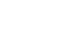 Insurance logo